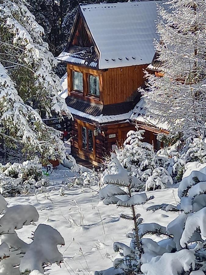 Good Bye Lenin Hostel Zakopane Ngoại thất bức ảnh